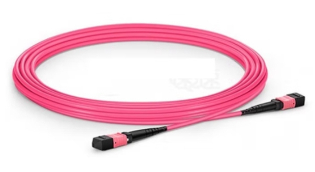 ZORA MPO Trunk Fiber-OM4