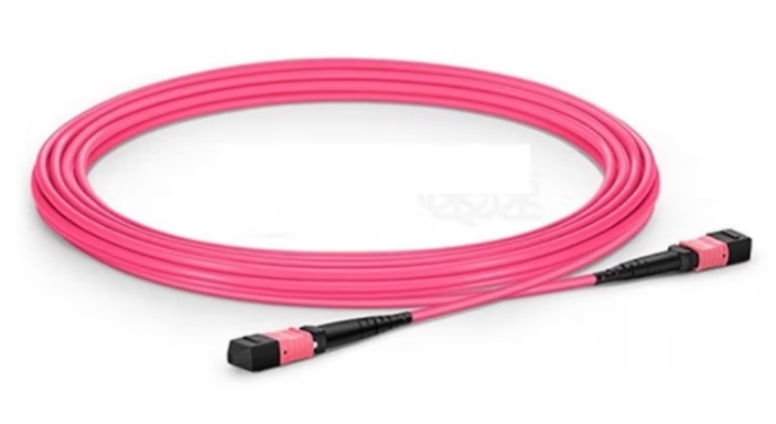 ZORA MPO Trunk Fiber-OM4