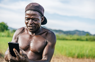 The network in Africa