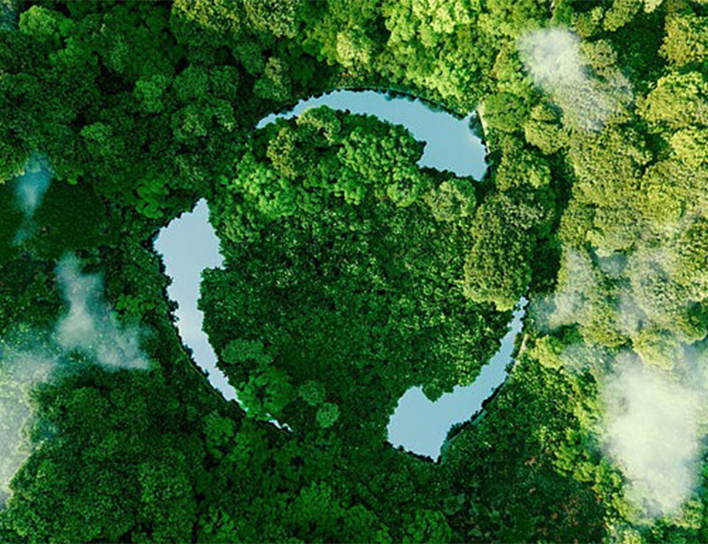 Sustainability_stag