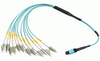 ZORA MPO Pre-terminated Patch Cord