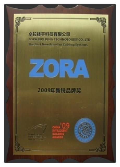 2009-Emerging-Brand-Award