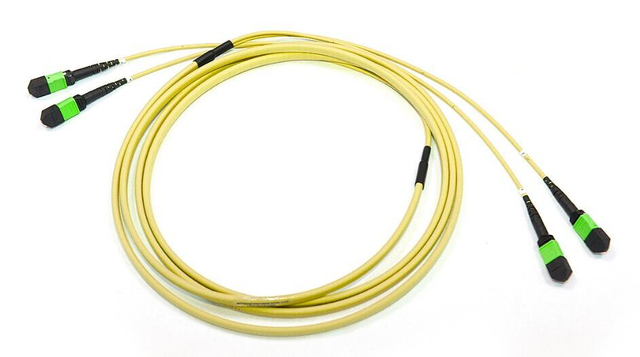 ZORA MPO Trunk Fiber-OS2