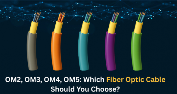 Fiber Type