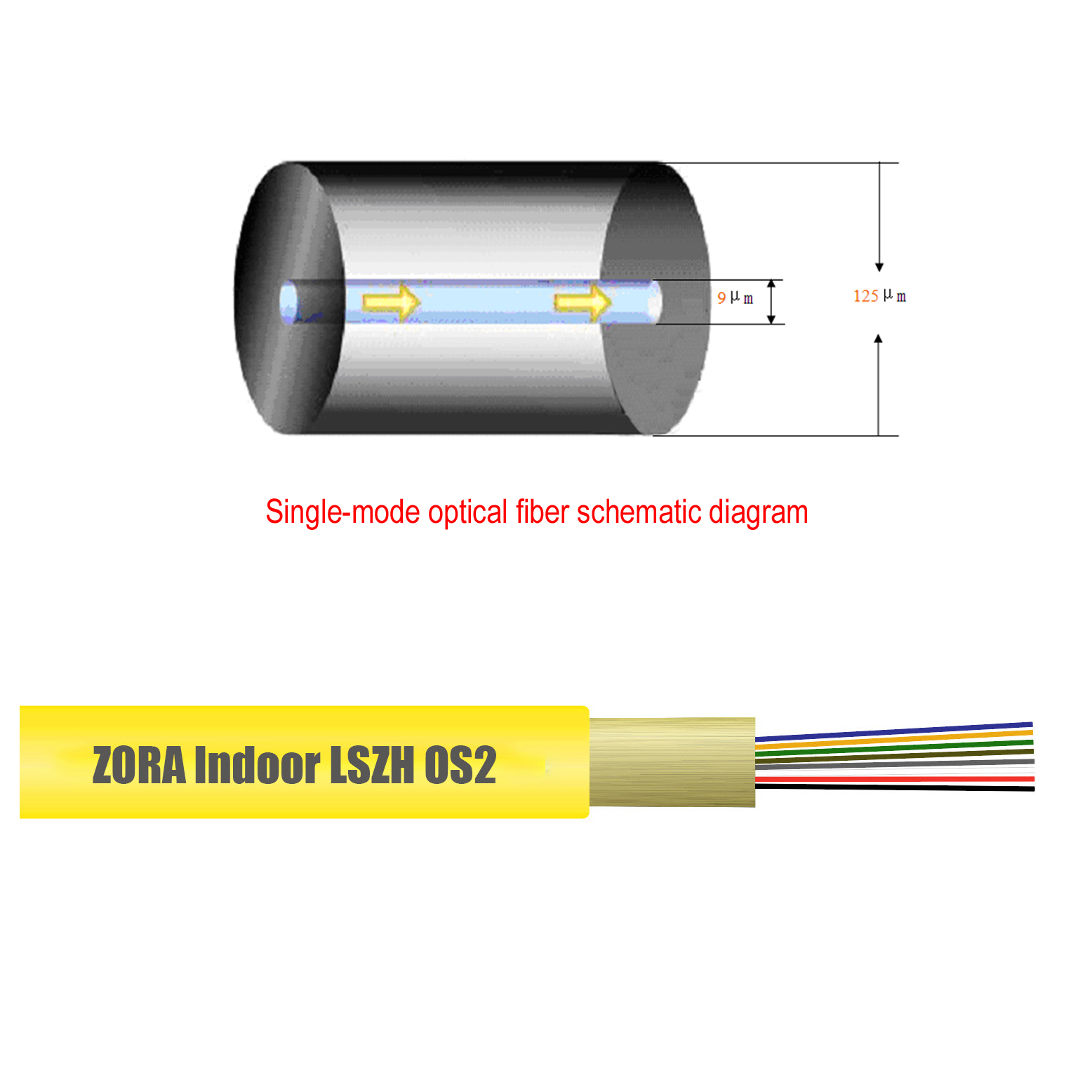 Single-mode-fiber-core-ZORA