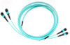 ZORA MPO Trunk Fiber-OM3