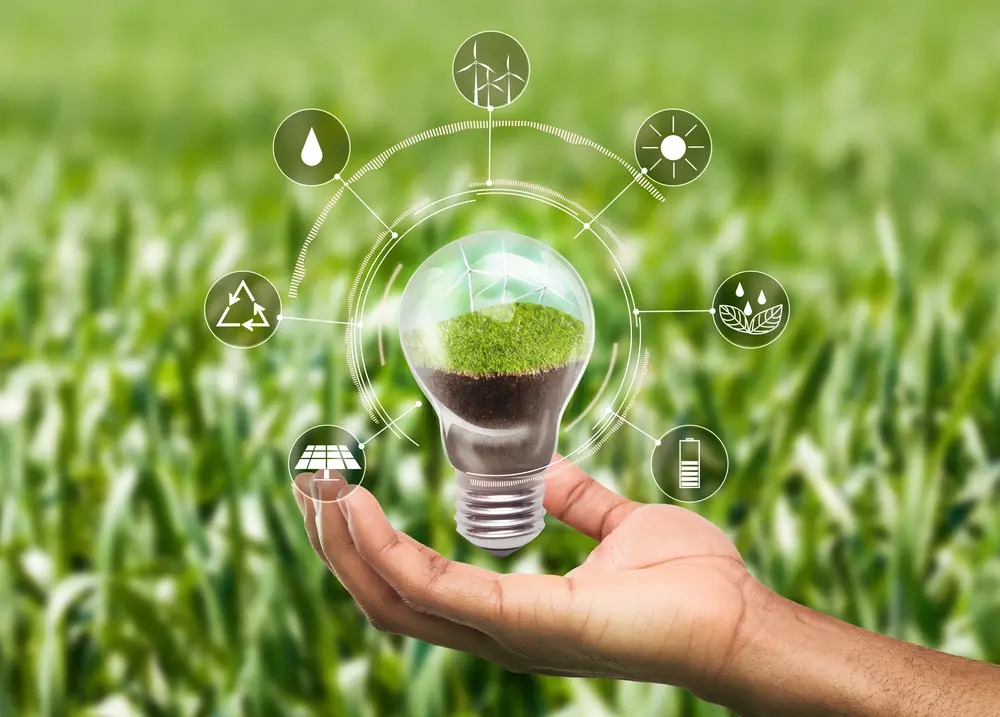 ecofriendly-vs-sustainable-fetau
